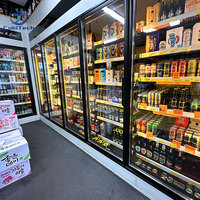 Congélateur commercial vitré pour magasin de détail, stockage et présentation de produits surgelés