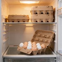 Lot de 25 cartons à œufs, style 3x4, réutilisables, en pâte de papier naturelle, bon marché, robustes, pour réfrigérateur