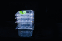 Boîte à salade à couvercle rabattable, conteneurs à salade, boîtes d'emballage en plastique à rabat transparent 50 pièces