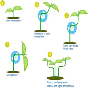 The New 10P/B 360 Degrees Adjustable Angle <strong>Plant</strong> Bender Growth <strong>Trainer</strong> Clips for Securing <strong>Plants</strong>, Suit for Home Garden Nursery - Product Image 4