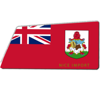 Tapis de sol d'intérieur avec drapeau du Belize, tapis de bienvenue pour entrée, tapis de bienvenue extérieur, tapis de sol à profil bas pour entrée et patio