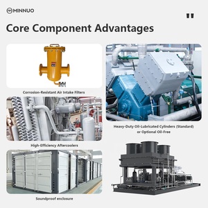 Hệ thống khí tự nhiên nén đáng tin cậy cho nhiên liệu công nghiệp thay thế cho diesel và than - Product Image 4