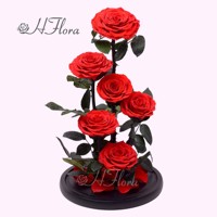 Bunga Mawar Awet 20*40cm dalam Kubah Kaca, Pesanan Khusus Pabrik, Laris untuk Hadiah Hari Valentine, Natal, dan Pernikahan