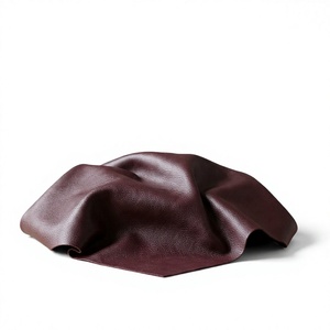 Meilleur Prix – Feuille de Cuir d'Autruche Véritable BS International – Durable, Robuste, Résistante au Vent, Écologique, Accessoires Faciles à Utiliser - Product Image 1