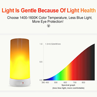 Lampe à flamme USB 2W avec télécommande Ampoule à flamme rechargeable en matériau PC Ampoules à flamme E27