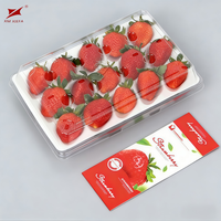 Barquette rectangulaire transparente en PET pour fraises avec couvercle, 15 compartiments, emballage coquille pour fruits et baies