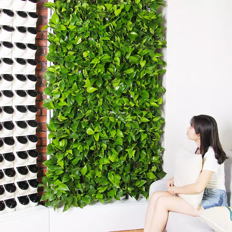 Maceta de plantas verdes para decoración de pared, 2023