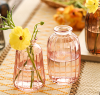 Chine Usine Ventes Directes 200ml Vase En Verre Couleur Personnalisée Petit Diffuseur Plante D'eau Conteneur pour Table pour Mariage