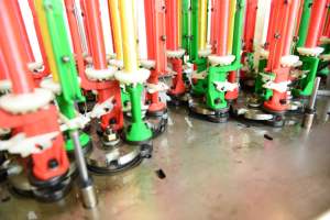 Máquina trenzadora <span class=keywords><strong>de</strong></span> línea <span class=keywords><strong>de</strong></span> pesca trenzada <span class=keywords><strong>de</strong></span> <span class=keywords><strong>cuatro</strong></span> hebras, - Product Image 6