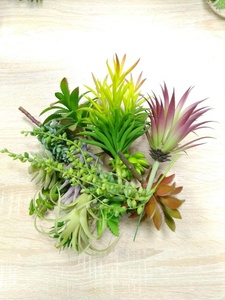 <span class=keywords><strong>Pas</strong></span> cher en gros réaliste faux unpotted mini <span class=keywords><strong>plantes</strong></span> artificielles succulentes assorties 16 pièces pour la décoration de jardin - Product Image 3