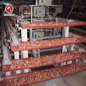 Automatische <span class=keywords><strong>ladder</strong></span> kip laag kooi, automatische kip schuur voor legkippen - Product Image 5