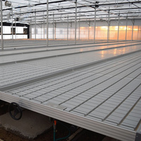 Mobiele Hydrocultuur Ebb En Flood Lade Rolling Tafel Groeien Sliding Bench Voor Glastuinbouw