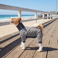Vêtements pour chiens personnalisés, veste d'exercice pour animaux de compagnie en nylon respirant, imperméable, anti-insectes, anti-salissures, pour chihuahua, bouledogue français