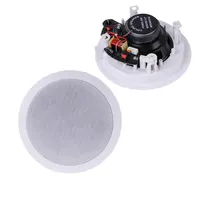 HI-FI 2 way ceiling speaker 20W with transformer and crossover