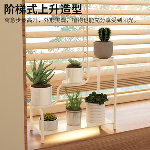Desktop <b>Plant</b> Stand Multi Tiered Indoor Office Display Rack White T Shape Already Assembled - Product Image 3