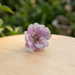Handmade <b>White</b> Sola Wood Eco-Friendly <b>Artificial</b> <b>Flowers</b> Dried Reed Diffuser Inspired Thailand Home Decor Weddings 8cm Indoor - Product Image 2