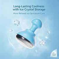 Martillo Frío de Acero Inoxidable 304 de Grado Médico, Masajeador Facial Criogénico con Globo de Hielo, Paquete de Hielo para Crioterapia, Almacenamiento de Cristales de Hielo para el Cuidado de la Piel