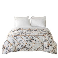 Ensemble de literie 3 pièces en fibres synthétiques brossées, géométrique, moderne et minimaliste, pour Wish et AliExpress (vente transfrontalière)
