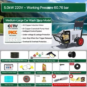 <span class=keywords><strong>Nettoyeur</strong></span> <span class=keywords><strong>haute</strong></span> <span class=keywords><strong>pression</strong></span> robuste 220V 5.0kW 60.8 bars avec moteur thermiquement protégé pour usage domestique et lavage de voitures, incluant un enrouleur de tuyau et des accessoires - Product Image 6