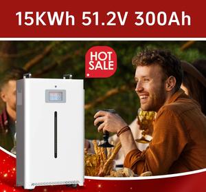 Batería de Pared de 15kwh 51.2V 300AH con Pantalla Táctil, Disponible en la UE - Product Image 3