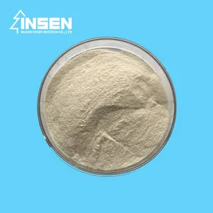 Insen उच्च गुणवत्ता वाले ग्लूकोमाइलेज एंजाइम की आपूर्ति करता है