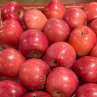 Fuji Appel Rode Appel Zoete Sappige Voeding Gezond en Rood Fruit Fabriek Leverancier Groothandelsprijs