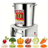 Broyeur de légumes et d'herbes en acier inoxydable, hachoir motorisé 220V, robot culinaire pour l'alimentation des poulets