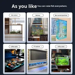 Aquarium en verre ultra blanc pour salon, avec plantes aquatiques, tortues, <span class=keywords><strong>Ranchu</strong></span> et Betta, garantie de 2 ans - Product Image 5