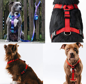 Arnés en Y con Clip Frontal, Correas Ajustables, Arnés para Perro Sin Tirones, Acolchado Suave y Duradero, Diseño Ergonómico en Forma de Y - Product Image 2