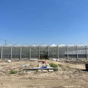 2025 coût d'usine <span class=keywords><strong>Serre</strong></span> commerciale Venlo 9.6m Span Glass Green house Garden Used for Sale - Product Image 1