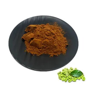 Chlorogenic Acid Powder Wholesale Bulk Green Coffee Bean Extract 50% Chlorogenic Acid