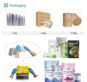 Peptide de fruit de Ginkgo sauvage 98% – Poudre de matière première alimentaire soluble dans l'eau, petite molécule, en vrac, à base de plantes - Product Image 5