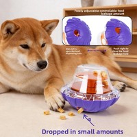 Nouveau jouet distributeur de nourriture pour chiens et chats - Jouet éducatif, puzzle anti-stress, jouet pour animaux de compagnie en ABS