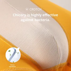 Nouveau Boxer en Coton Tricoté Jaune Taille Moyenne Respirant Antibactérien Sexy pour <span class=keywords><strong>Homme</strong></span> avec Logo à la Taille - Product Image 3