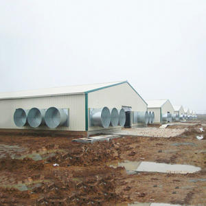 XGZ ผู้จัดจำหน่ายจากจีน โรงเรือนเลี้ยงไก่โครงสร้างเหล็ก อุปกรณ์ฟาร์มสัตว์ปีก ราคา - Product Image 3