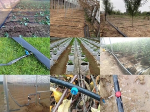 La agricultura puede usar cinta de riego por goteo de PE de 16mm con logotipos personalizables para una conservación eficiente del agua. - Product Image 6