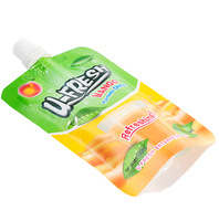 Kantong Spout PET PE Kustom Pabrik untuk Kemasan Jus Buah, Kantong Berdiri dengan Spout