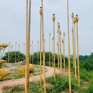 Master Bamboo Pavilion 10cm X 4-7m Outdoor Decorative Leisure Structure - Product Image 3
