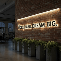 Letrero Retroiluminado con Acabado Espejo Dorado Premium, Logotipo 3D Brillante LED, Decoración de Pared para Spa Profesional, Salón de Belleza y Joyería