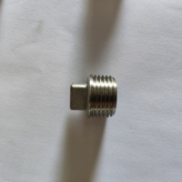 Raccord de tuyauterie en acier inoxydable 304 316 fileté ASTM A351 NPT BSPT, bouchon carré à tête hexagonale, traitement de surface par peinture, 1/8\"-4\" Classe