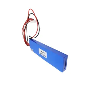 CTECHI rechargeable 48V 3200mAh lithium EV car Battery Pack