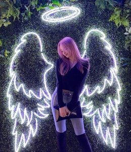 Letrero de Neón LED Acrílico Personalizado con Alas de Ángel y Efecto Halo para Dormitorio, Precio Mayorista para Dropshipping - Product Image 5