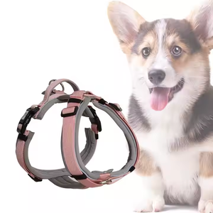 Tali kekang anjing mewah Multi warna kustom nilon dapat disesuaikan dengan fitur empuk untuk kucing jalan dan anjing - Product Image 6