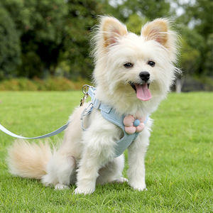 Imbracatura e guinzaglio unico personalizzato Set di imbracature per cani e guinzagli per animali domestici Set accessori per cani - Product Image 3