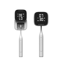 Stérilisateur UV pour brosses à dents, taux de destruction de germes de 99,9 %, boîte de désinfection LED, support rechargeable pour montage mural dans la salle de bain