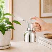 Arrosoir en acier inoxydable 304 argenté, mini pulvérisateur métallique pour plantes succulentes et vertes
