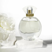 Bouteille de parfum de luxe transparente conteneur cosmétique 30ml 50ml 100ml atomiseur de pulvérisation bouteille de parfum vide