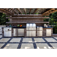 Barbecue modulaire combiné en acier inoxydable, Barbecue, Barbecue, Grill à gaz, cuisine extérieure