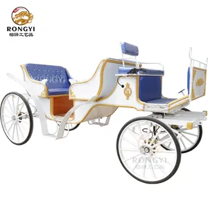 High Quality Travel Sightseeing Carriage/Special Transport Horse Carriage/China Suppliers top Quality Horse Carriage for Sale