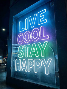 Enseignes lumineuses LED néon personnalisées populaires, IP67, pour extérieur, mariage, bar, fête, décoration, cristal, 12V LED, nouveau design - Product Image 2